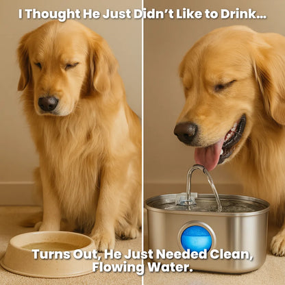 LOYA™ Stainless Steel Pet Water Fountain