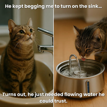 LOYA™ Stainless Steel Pet Water Fountain